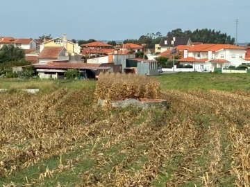 Terreno para Venda em Cacia