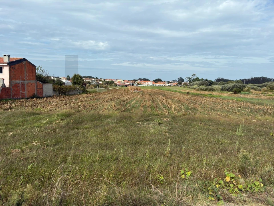 Terreno para Venda em Cacia Foto 3