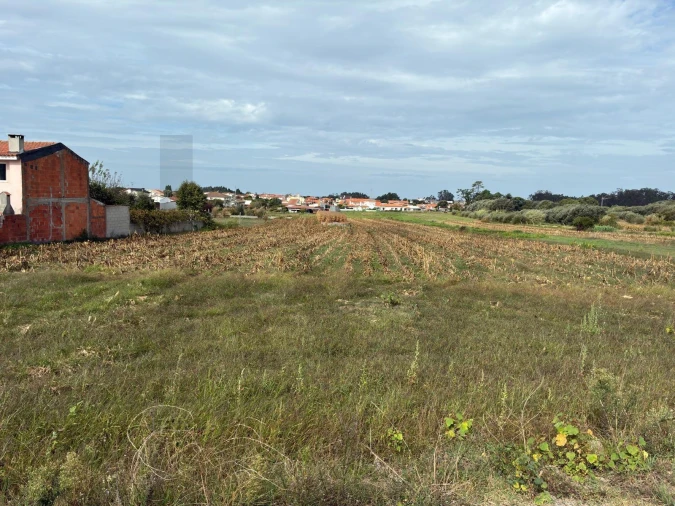 Terreno para Venda em Cacia Foto 3