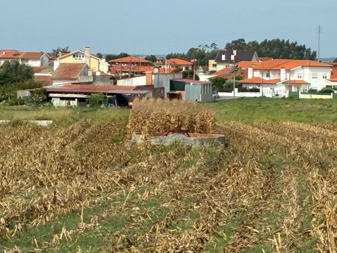 Terreno para Venda em Cacia Foto 4