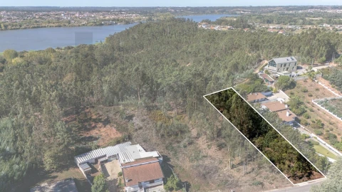 Terreno para Venda em Travassô e Óis da Ribeira
