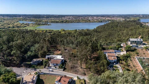 Terreno para Venda em Travassô e Óis da Ribeira