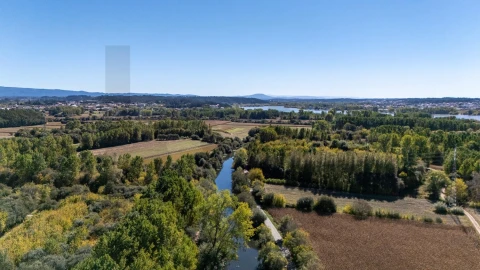 Terreno para Venda em Travassô e Óis da Ribeira