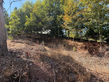 Terreno para Venda em Travassô e Óis da Ribeira
