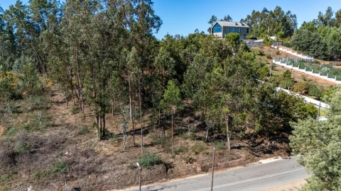 Terreno para Venda em Travassô e Óis da Ribeira