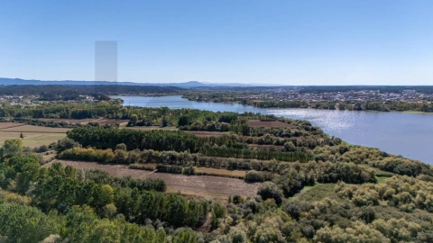 Terreno para Venda em Travassô e Óis da Ribeira