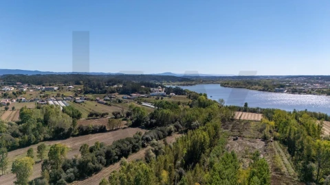Terreno para Venda em Travassô e Óis da Ribeira
