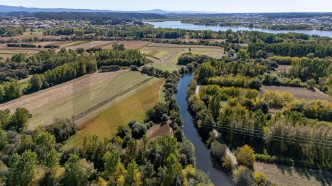 Terreno para Venda em Travassô e Óis da Ribeira