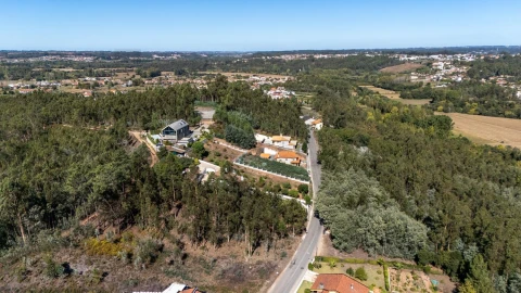 Terreno para Venda em Travassô e Óis da Ribeira