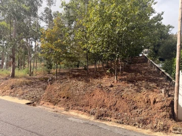 Terreno para Venda em Travassô e Óis da Ribeira
