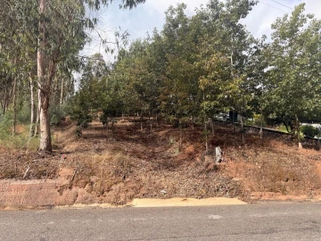 Terreno para Venda em Travassô e Óis da Ribeira