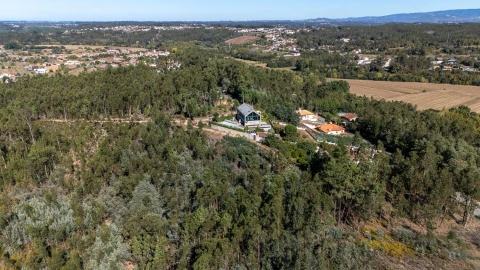 Terreno para Venda em Travassô e Óis da Ribeira