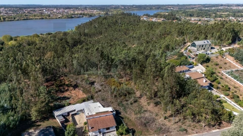 Terreno para Venda em Travassô e Óis da Ribeira