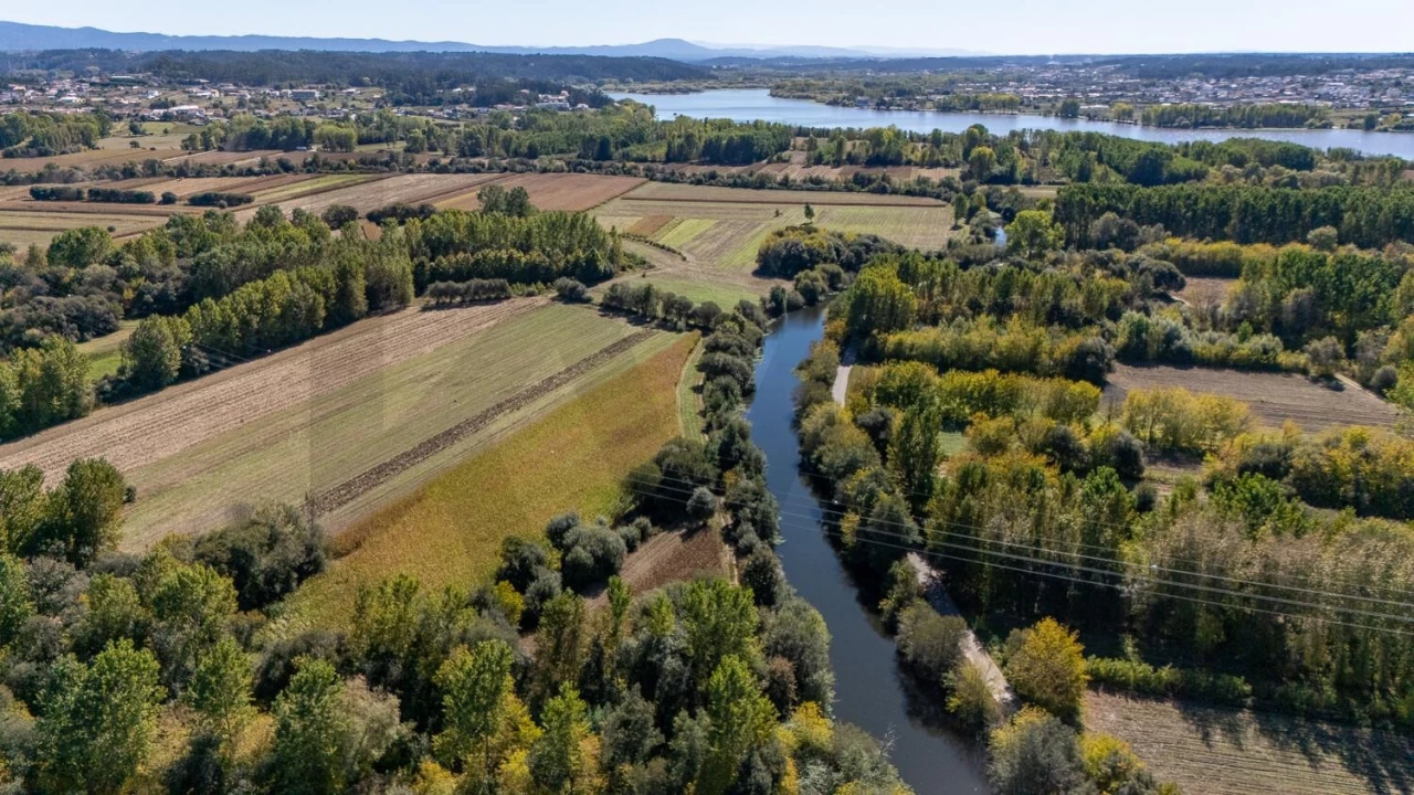 Terreno para Venda em Travassô e Óis da Ribeira Foto 29