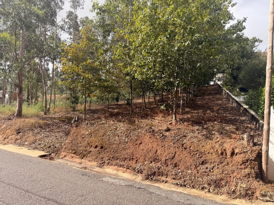 Terreno para Venda em Travassô e Óis da Ribeira Foto 2