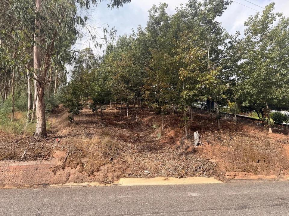 Terreno para Venda em Travassô e Óis da Ribeira Foto 1