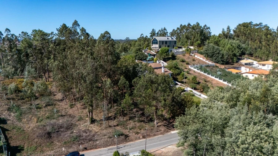 Terreno para Venda em Travassô e Óis da Ribeira Foto 20