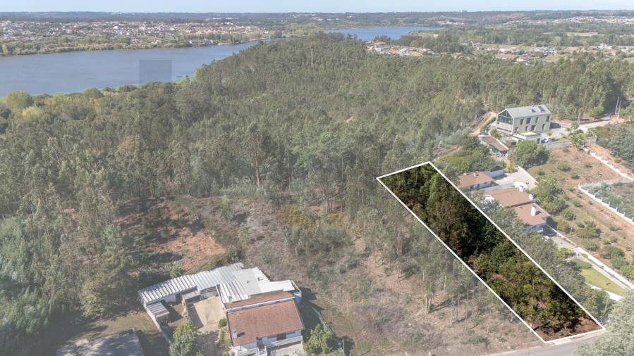Terreno para Venda em Travassô e Óis da Ribeira Foto 14