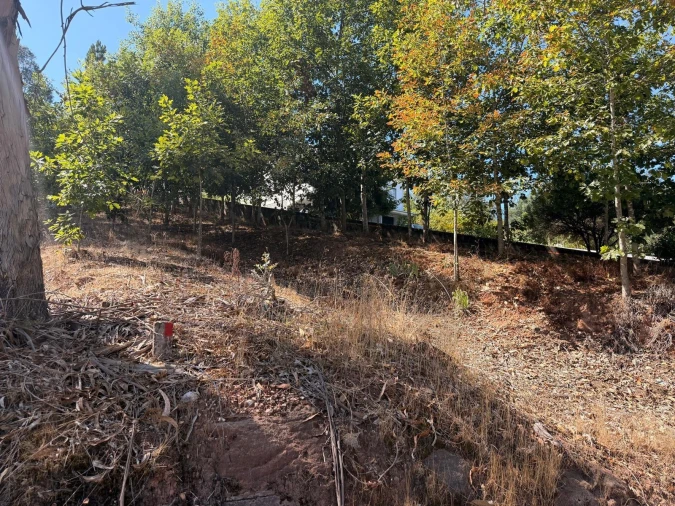 Terreno para Venda em Travassô e Óis da Ribeira Foto 5