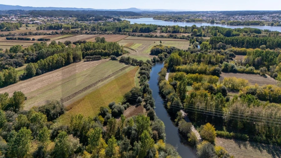 Terreno para Venda em Travassô e Óis da Ribeira Foto 29