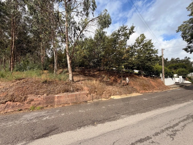 Terreno para Venda em Travassô e Óis da Ribeira Foto 3