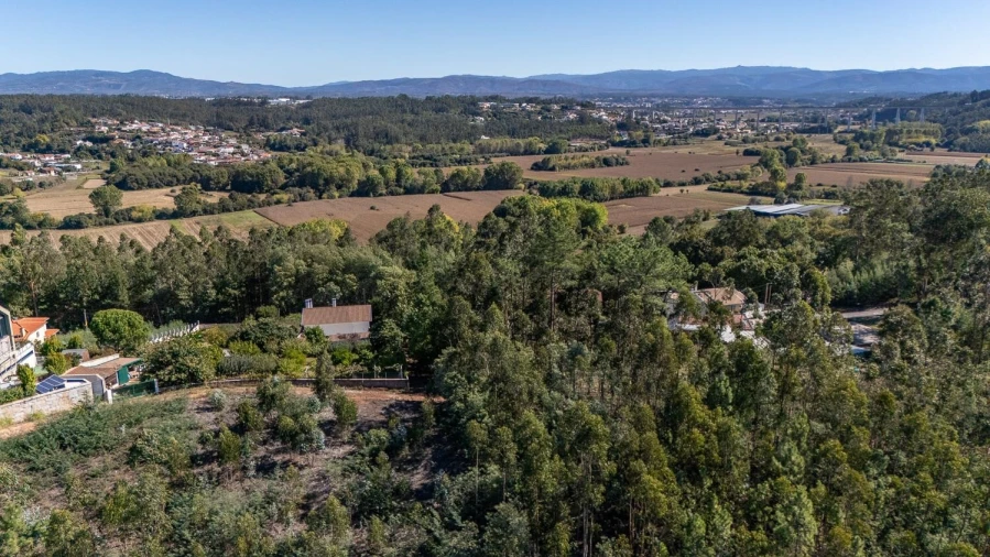 Terreno para Venda em Travassô e Óis da Ribeira Foto 7