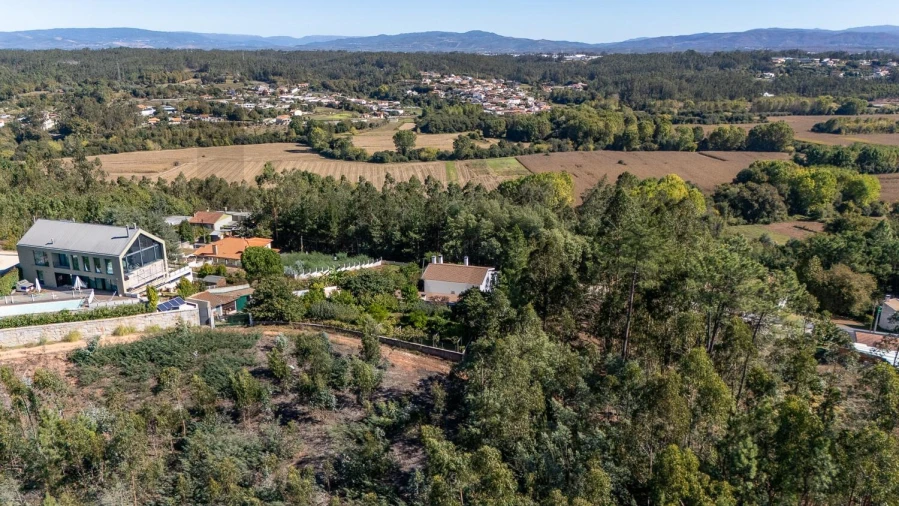Terreno para Venda em Travassô e Óis da Ribeira Foto 8