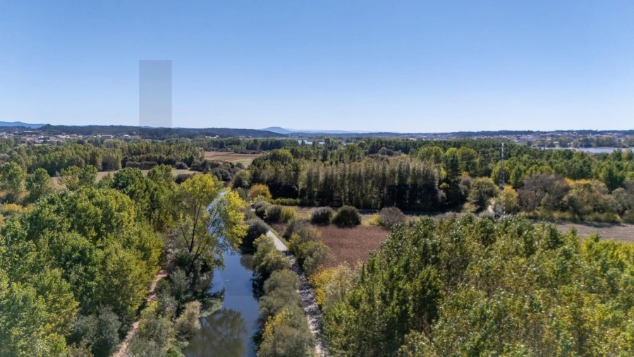 Terreno para Venda em Travassô e Óis da Ribeira Foto 25