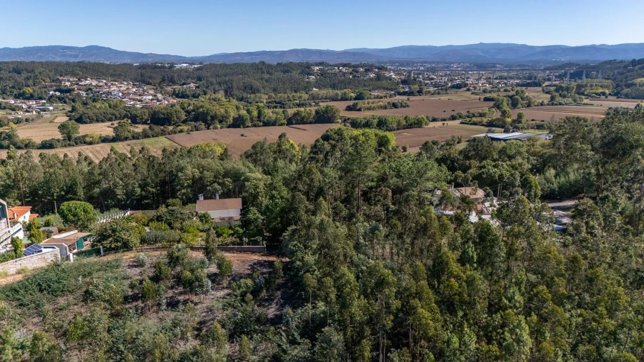 Terreno para Venda em Travassô e Óis da Ribeira Foto 7