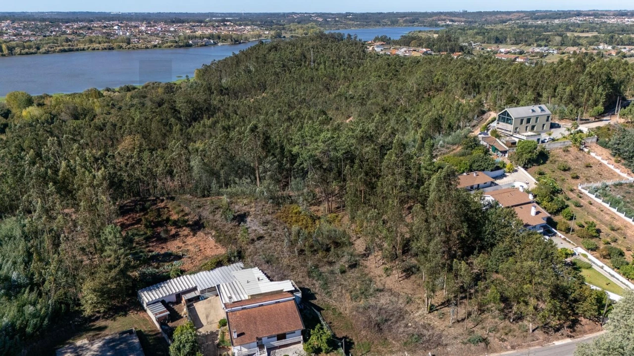 Terreno para Venda em Travassô e Óis da Ribeira Foto 15