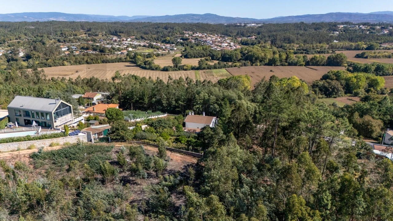 Terreno para Venda em Travassô e Óis da Ribeira Foto 8