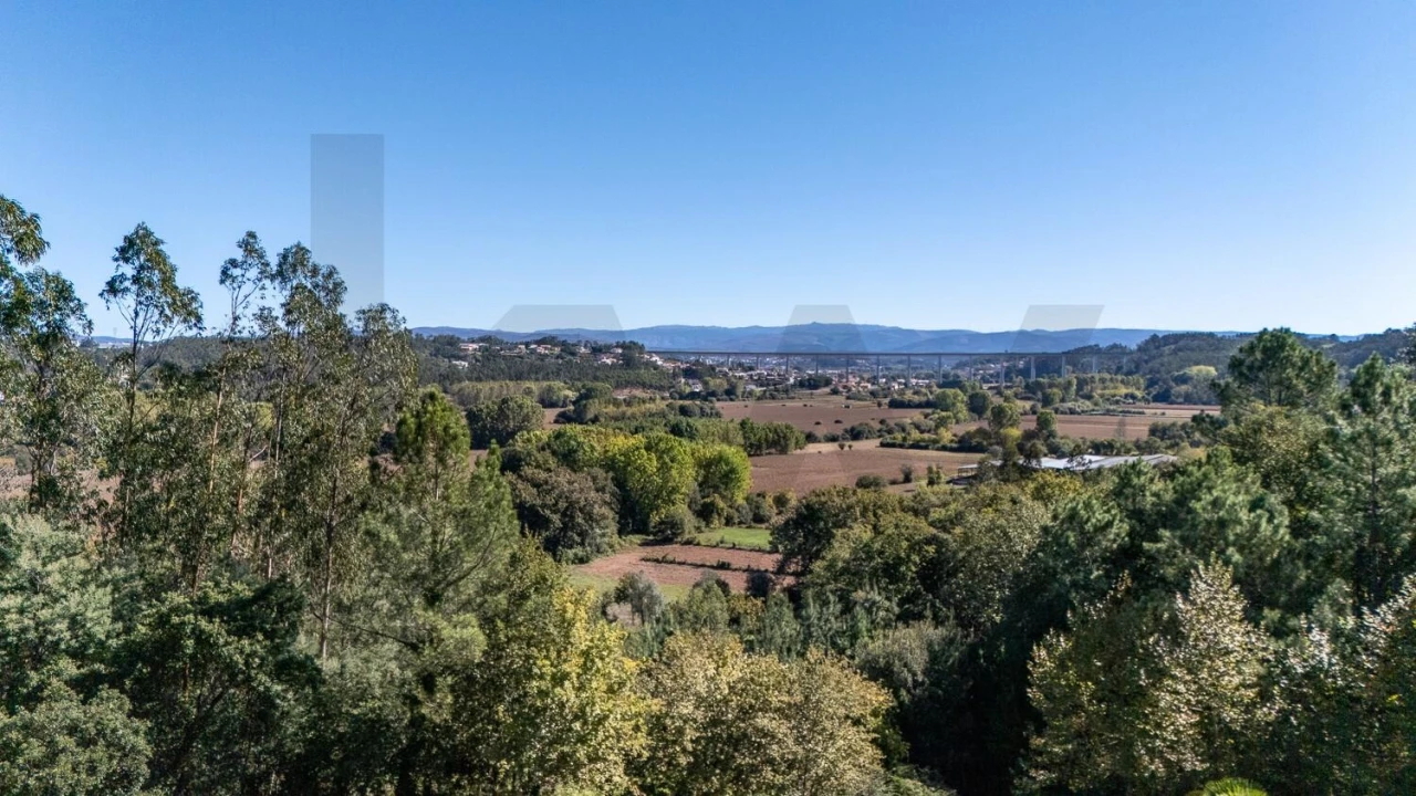 Terreno para Venda em Travassô e Óis da Ribeira Foto 19
