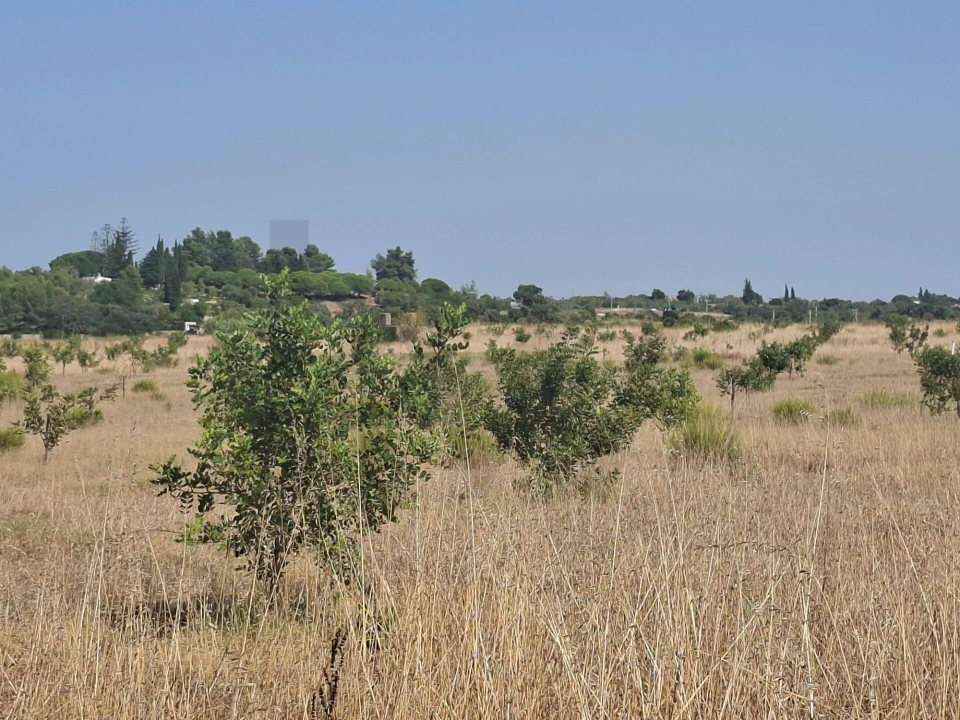 Terreno para Venda em Odiaxere Foto 18