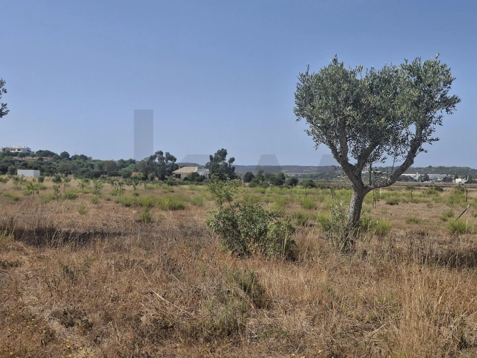 Terreno para Venda em Odiaxere Foto 4