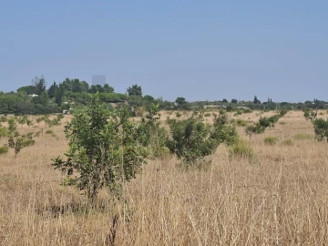 Terreno para Venda em Odiaxere
