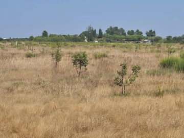 Terreno para Venda em Odiaxere