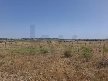 Terreno para Venda em Odiaxere