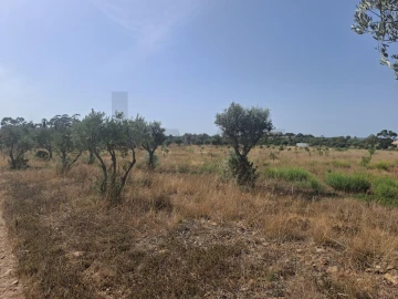 Terreno para Venda em Odiaxere