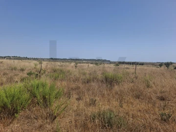 Terreno para Venda em Odiaxere