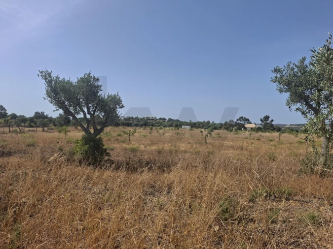 Terreno para Venda em Odiaxere Foto 12