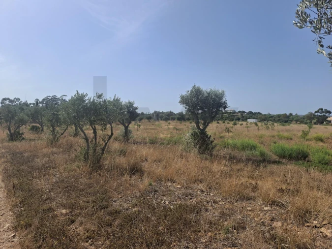 Terreno para Venda em Odiaxere Foto 8