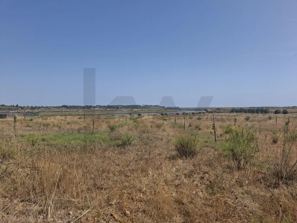 Terreno para Venda em Odiaxere Foto 5