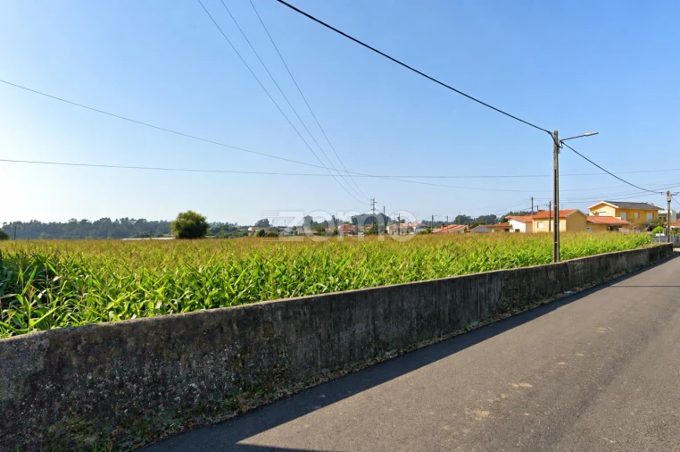Terreno para Venda em Beduído e Veiros Foto 4