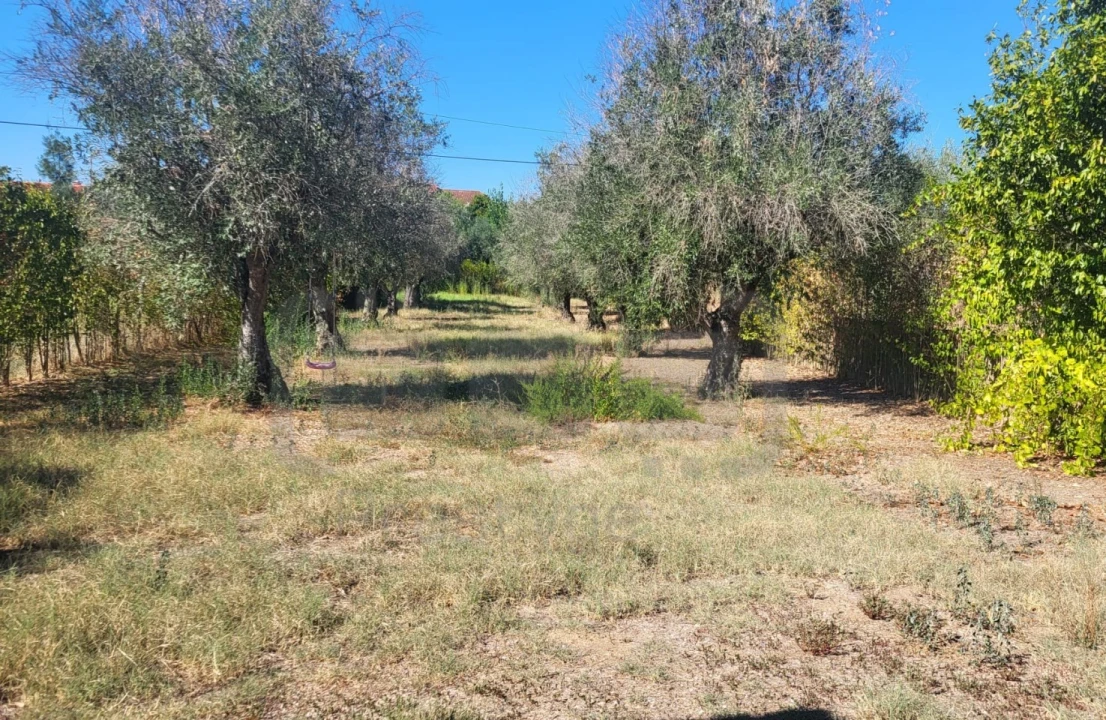 Moradia T5 para Venda em Serra e Junceira Foto 1