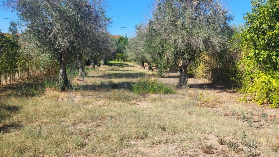 Moradia T5 para Venda em Serra e Junceira