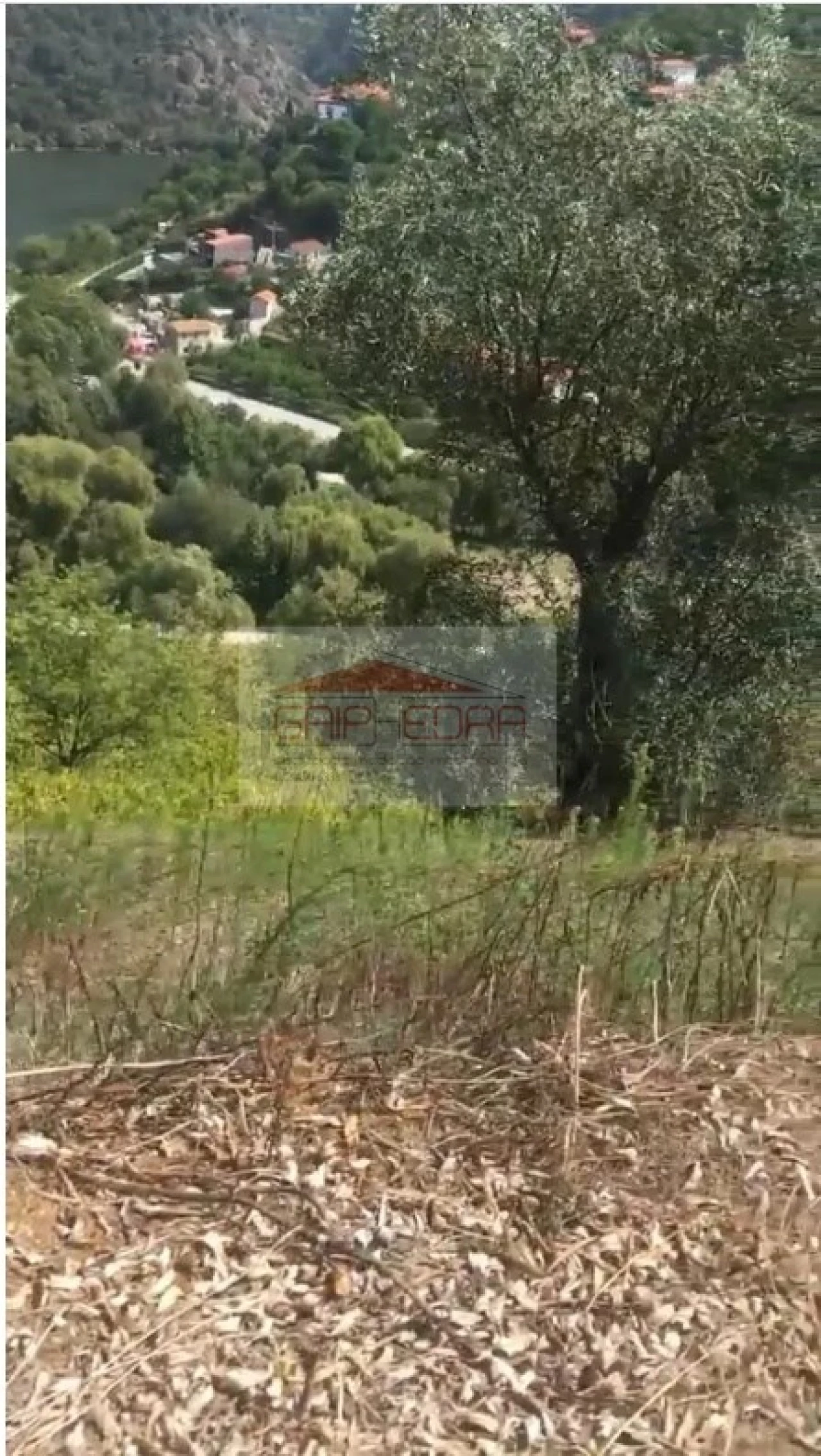 Terreno para Venda em São Martinho de Mouros Foto 2