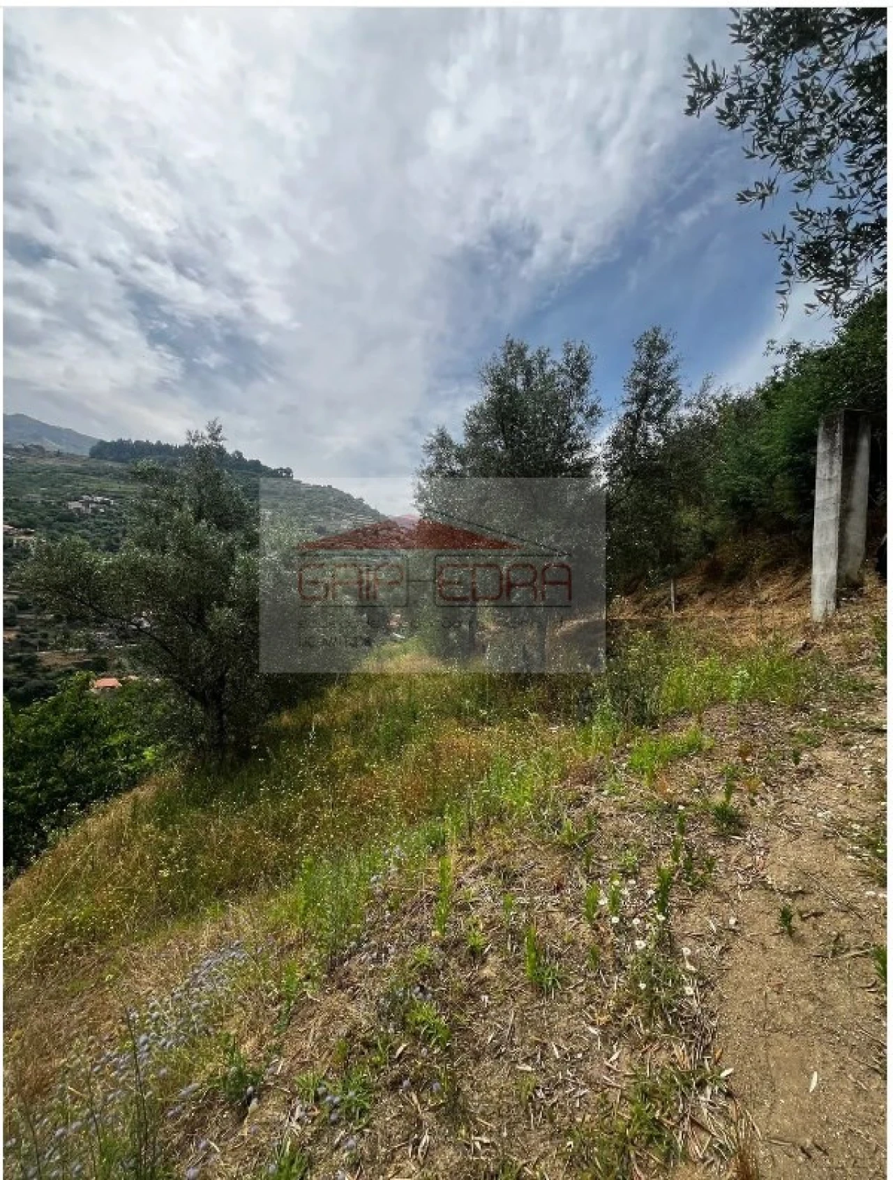 Terreno para Venda em São Martinho de Mouros Foto 5