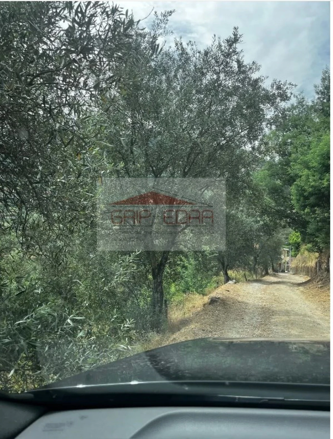 Terreno para Venda em São Martinho de Mouros Foto 7
