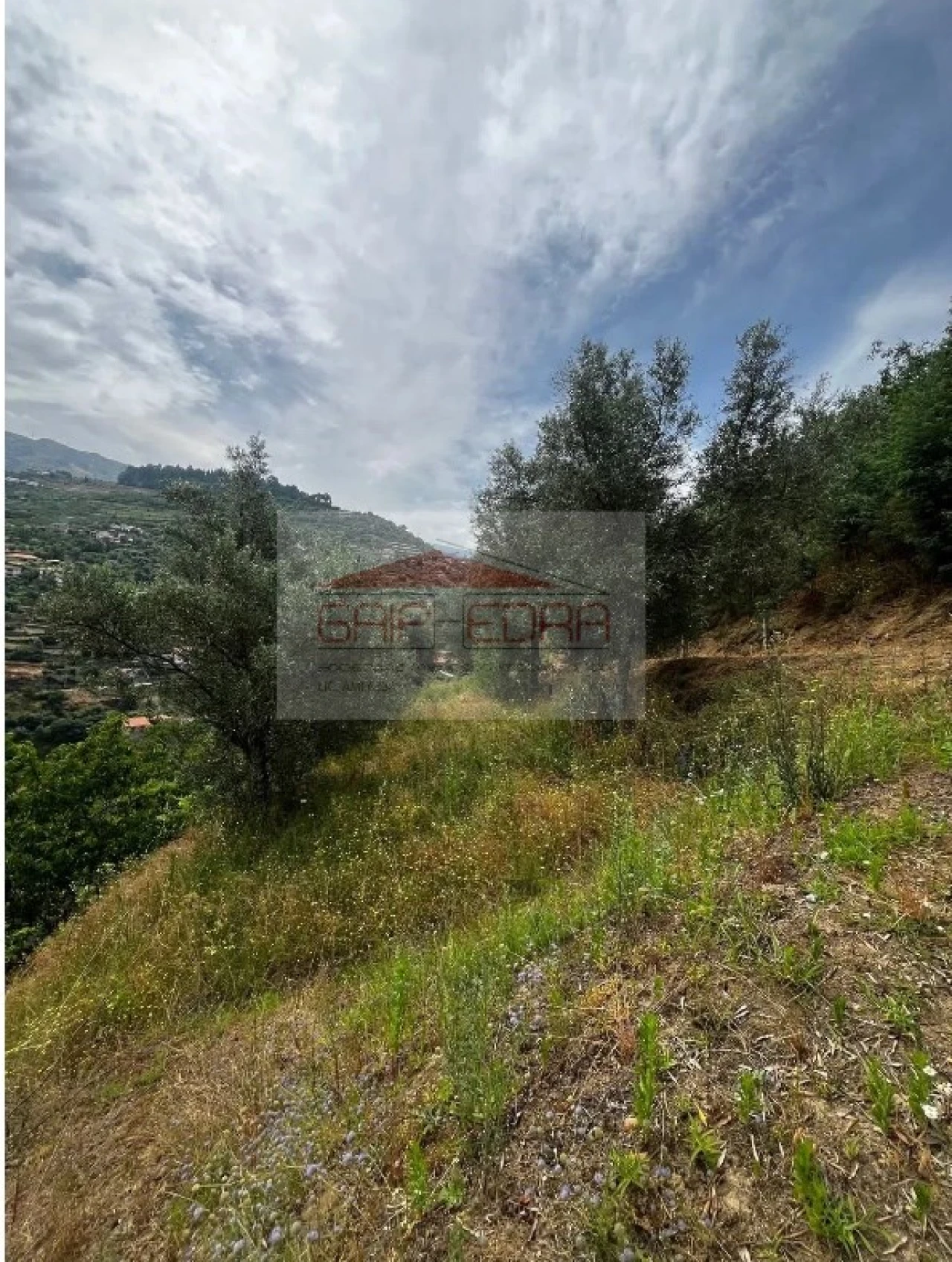 Terreno para Venda em São Martinho de Mouros Foto 9