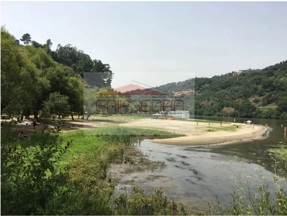 Terreno para Venda em São Martinho de Mouros Foto 12